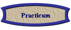 Practicum
