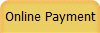 Online Payment